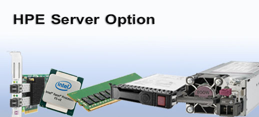 hpe-server-option