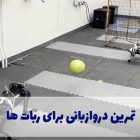 تمرین دروازبانی برای ربات ها